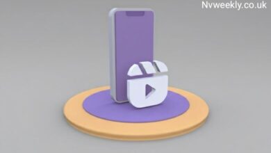 Illustration showing how insnoop works to view public online information