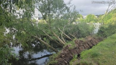 The Hidden Threat Beneath Our Feet: Understanding Riverbank Collapse at Iford Playing Fields