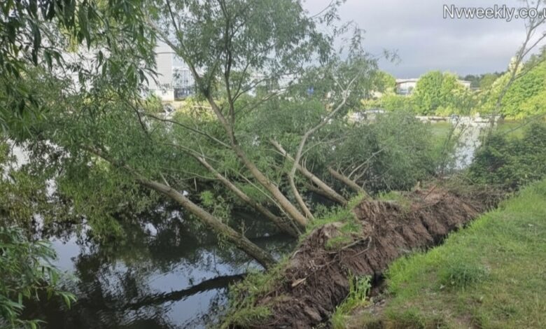 The Hidden Threat Beneath Our Feet: Understanding Riverbank Collapse at Iford Playing Fields