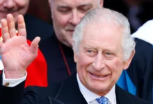 prince charles hands